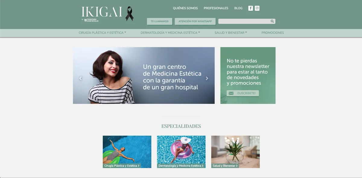 Sitio web de Ikigai